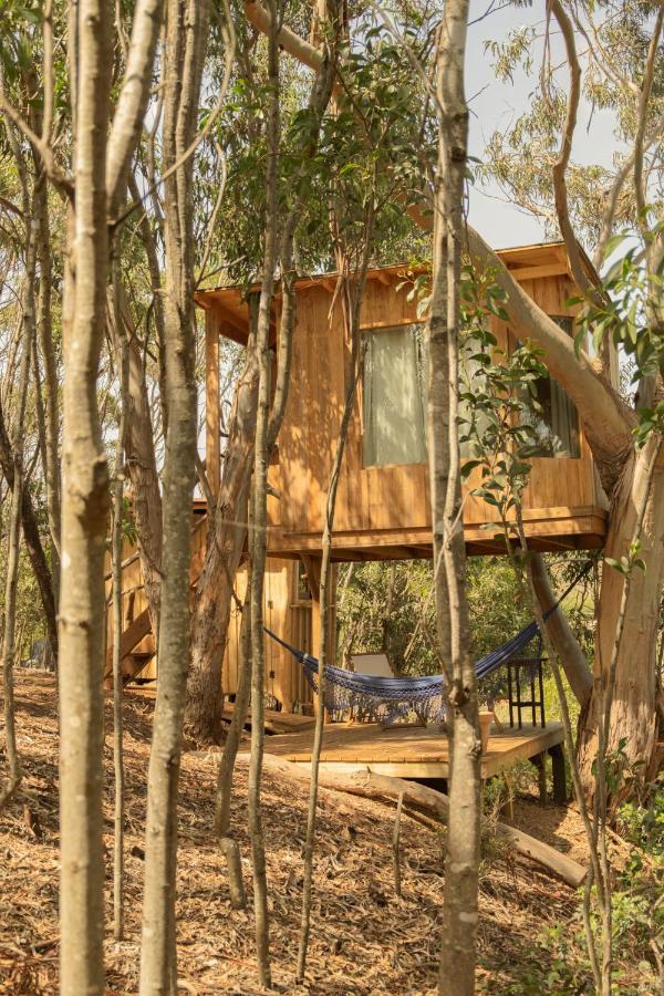 אלג'זור Soul Farm Algarve - Glamping & Farm Houses מראה חיצוני תמונה